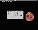 colour.gif (1784 bytes)